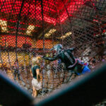 Extreme Content for Extreme Brands: Filming the Globe of Death